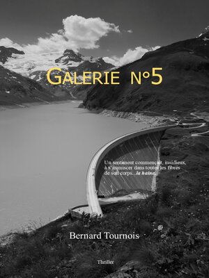 cover image of Galerie n°5